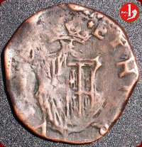 Granoconstemmaalaticurvi_1636_12077.jpg