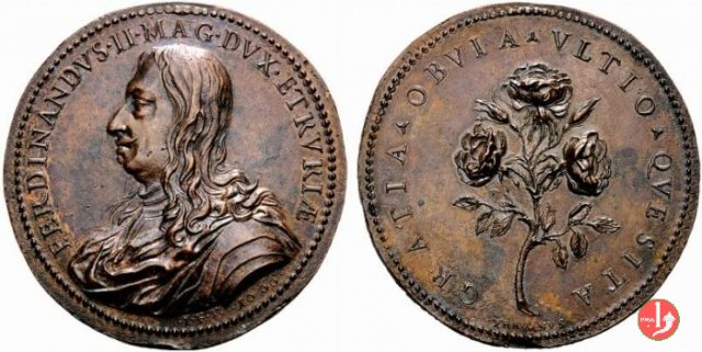 Ferdinando II de Medici - Rosa 1666 1666