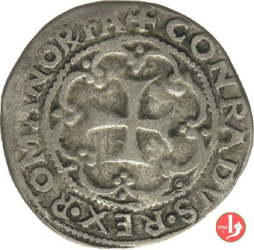 Cavallotto 1527-1528 (Genova)