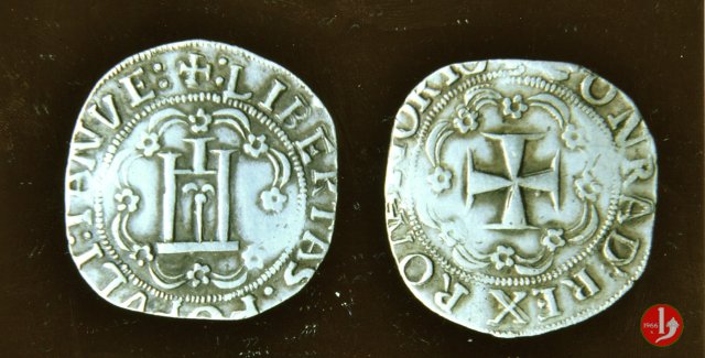 Testone 1507 (Genova)