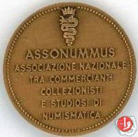 Assonummus 1975 1975
