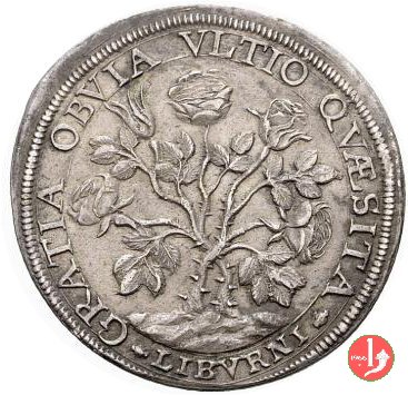 pezza della rosa 1665 (Firenze)