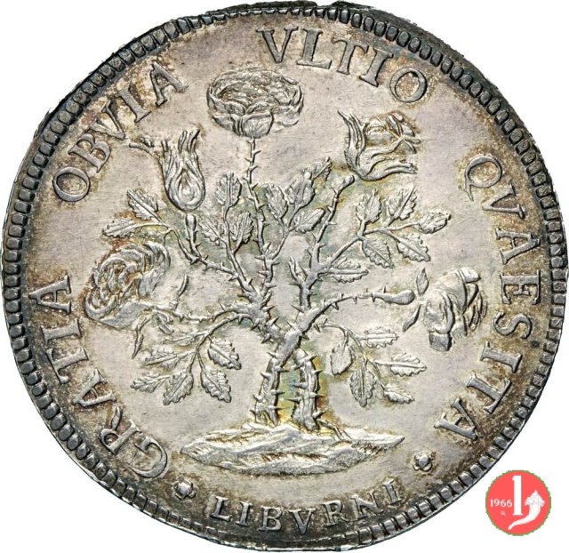 pezza della rosa 1718 (Firenze)