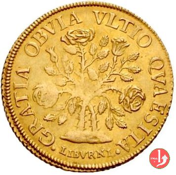 pezza d'oro della rosa o rosina 1718 (Firenze)