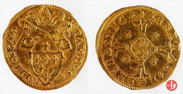 Scudo 3° tipo 1535-1538 (Perugia)