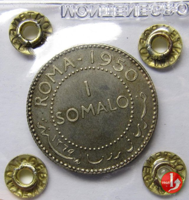 1 somalo 1950 1950 (Roma)