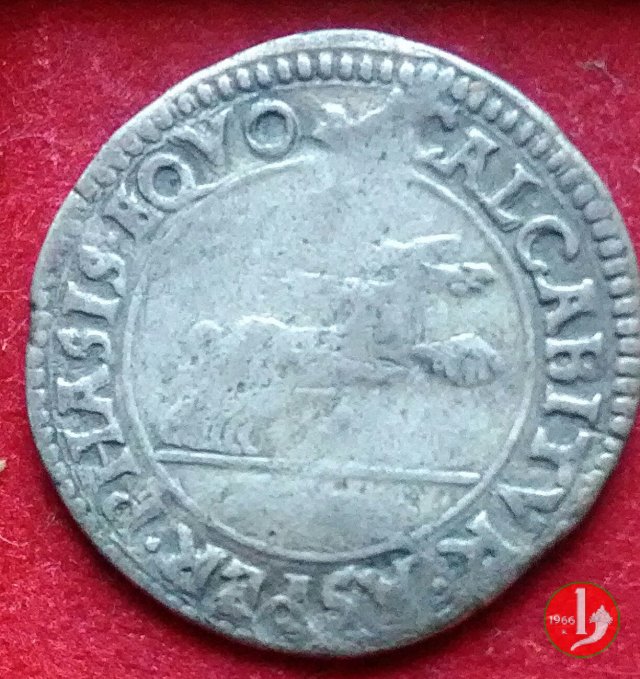 cavallotto 1567 (Reggio Emilia)