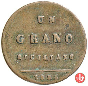 Grano 1836 (Palermo)