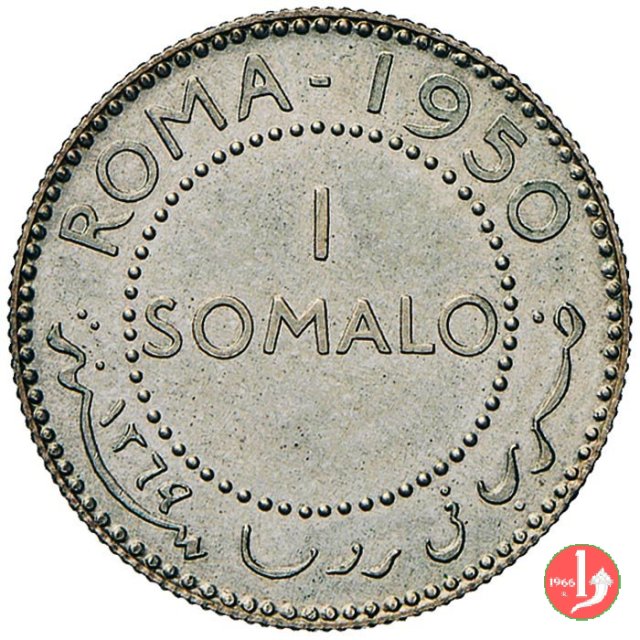 1 somalo 1950 1950 (Roma)