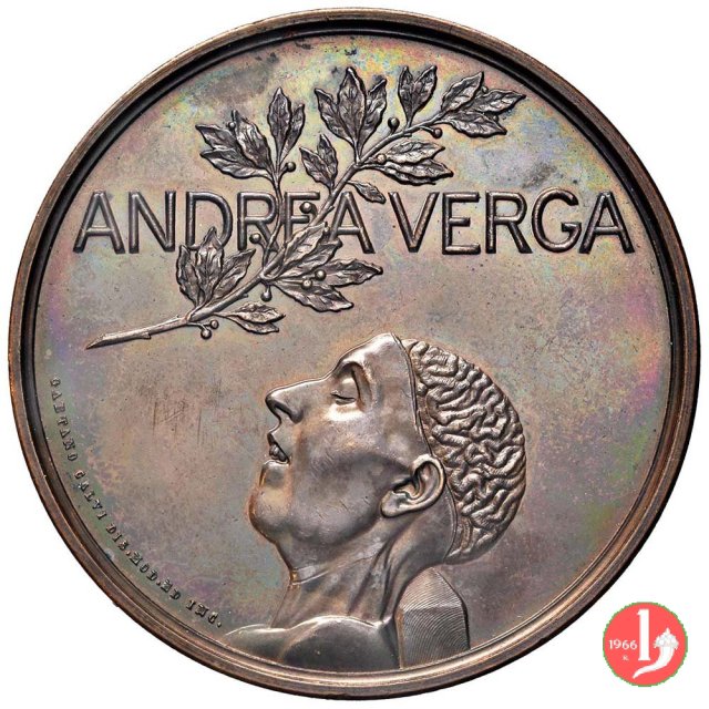 Andrea Verga 1895