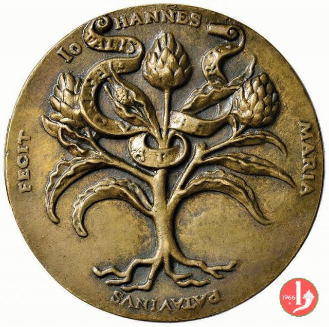 Bona Sforza Regina di Polonia 1532 1532