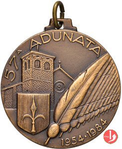 LVII Adunata Annuale Alpini Trieste 1984 1984