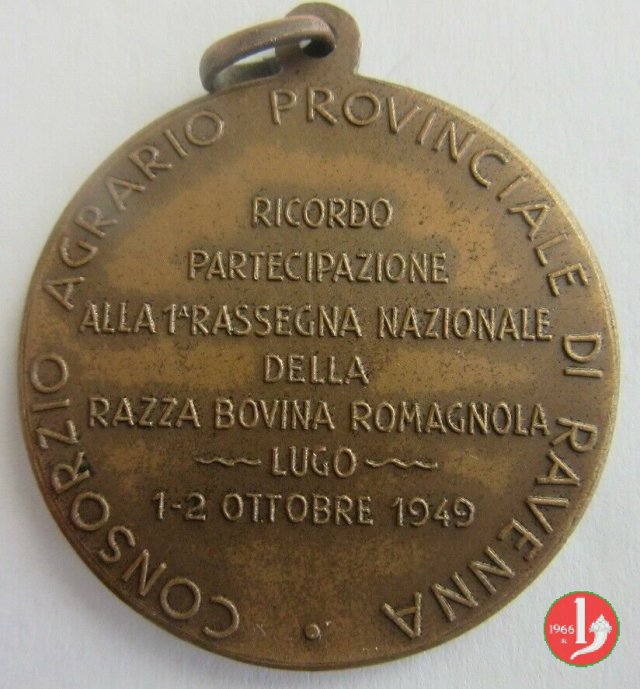 Lugo - Rassegna Razza bovina Romagnola 1949 1949