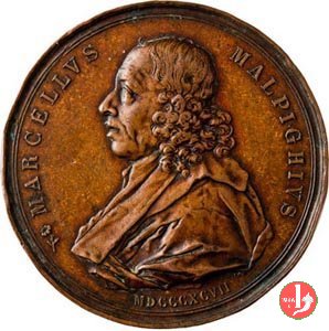 Marcello Malpighi 1897 1897