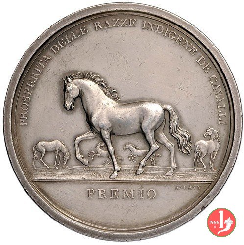 Miglioramento delle razze Equine 1819 (Torino)