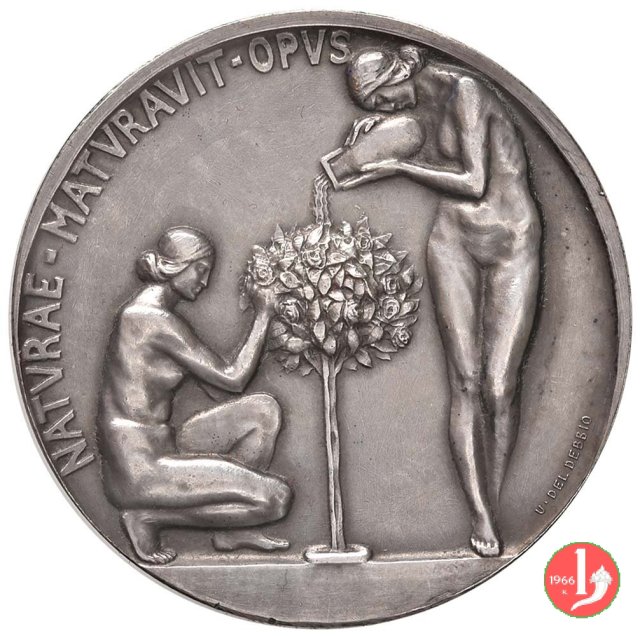 Mostra Nazionale Floreale Roma -C98 1929 (Roma)