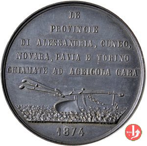 Novara - Concorso Agrario Regionale 1874 1874