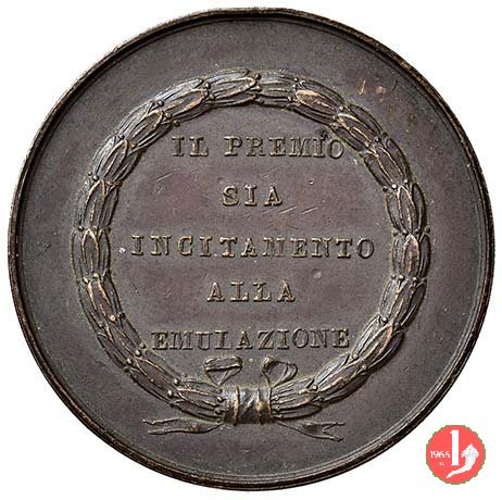 Scuole Comunali di Volterra - Premio 1875