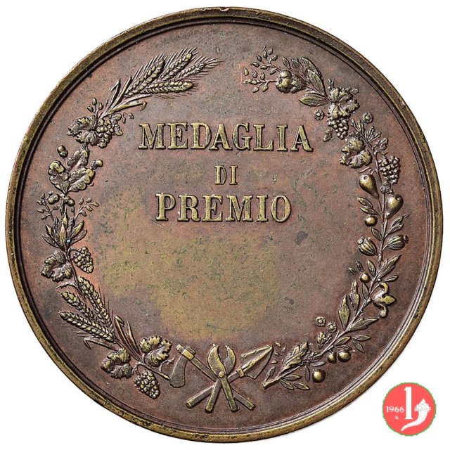 Siena - Premio Comizio Agrario 1890