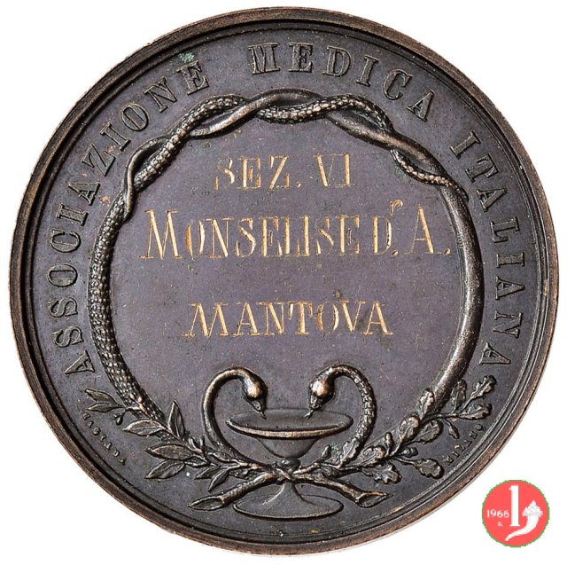 X Congresso Medico 1882 1882