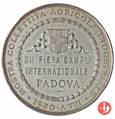 XII Fiera Campionaria Internaz. di Padova 1930