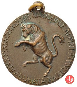 34-Adunata Annuale Alpini Torino 1961 1961