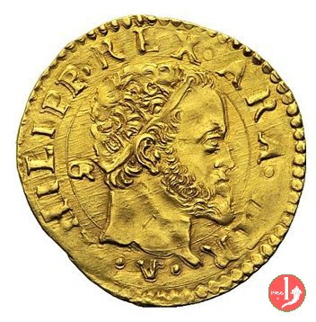 Scudo d'oro a testa radiata a dx  (Napoli)