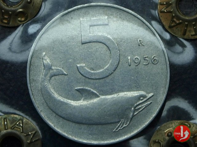 5 lire delfino 1956 (Roma)