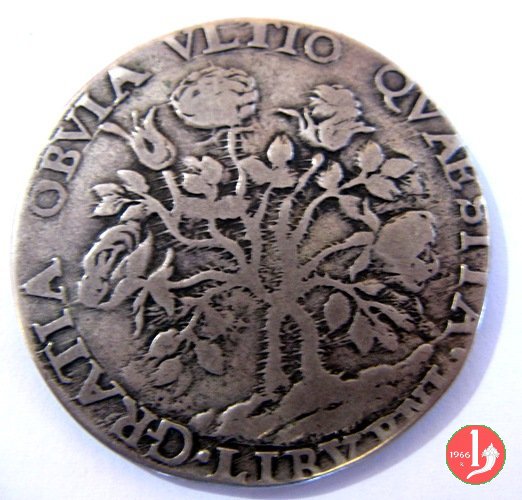 pezza della rosa 1684 (Firenze)