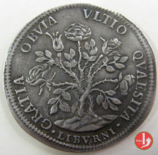 pezza della rosa 1700 (Firenze)
