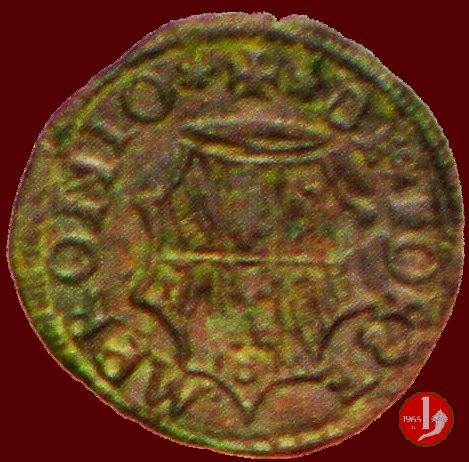 Quattrino (testa grande) 1482-1508 (Fossombrone)
