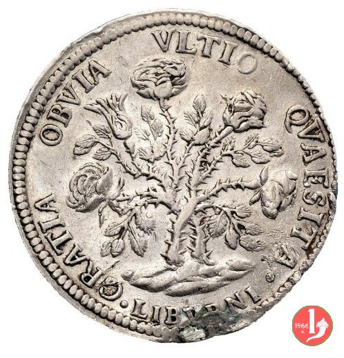pezza della rosa 1703 (Firenze)