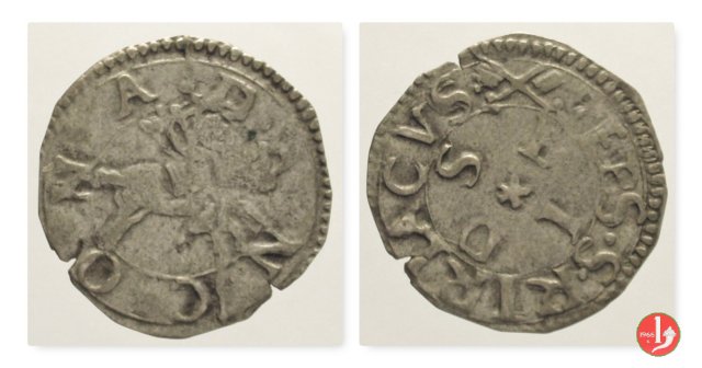 Bolognino marchigiano (III t.)  (Ancona)
