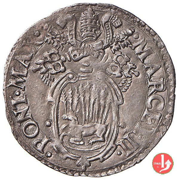 Giulio (Testa a d.)  (Ancona)