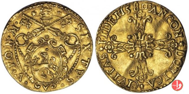 Scudo d'oro (1586) 1586 (Ancona)