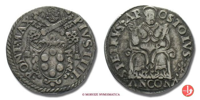 Testone (senza data - III t.) 1559-1565 (Ancona)