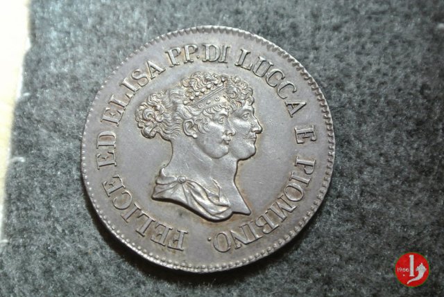 5 franchi 1805 (Firenze)