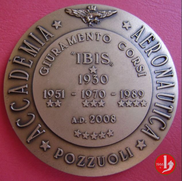 Ibis 2008