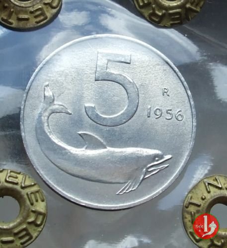 5 lire delfino 1956 (Roma)