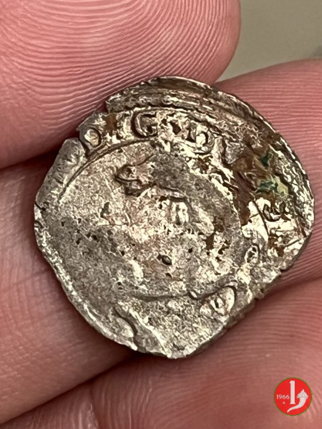 Cavallotto V tipo 1630