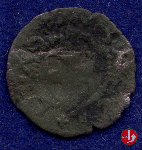 Maglia di bianchetto III tipo  (Cornavin)