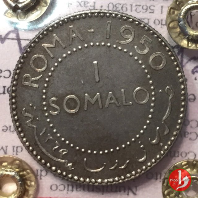 1 somalo 1950 1950 (Roma)