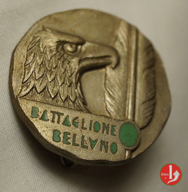 Battaglione Alpini Belluno 1970