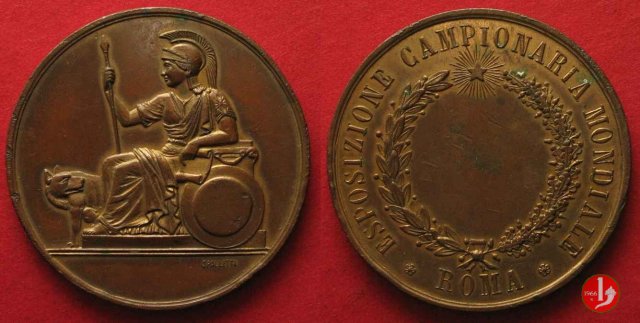 Esposizione Campionaria Mondiale Roma 1901 1901