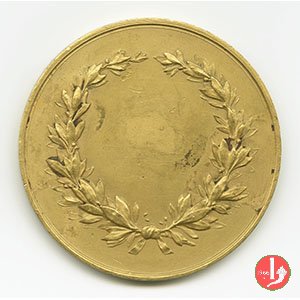 VII Congresso Internazionale Chirurgia 1926 1926