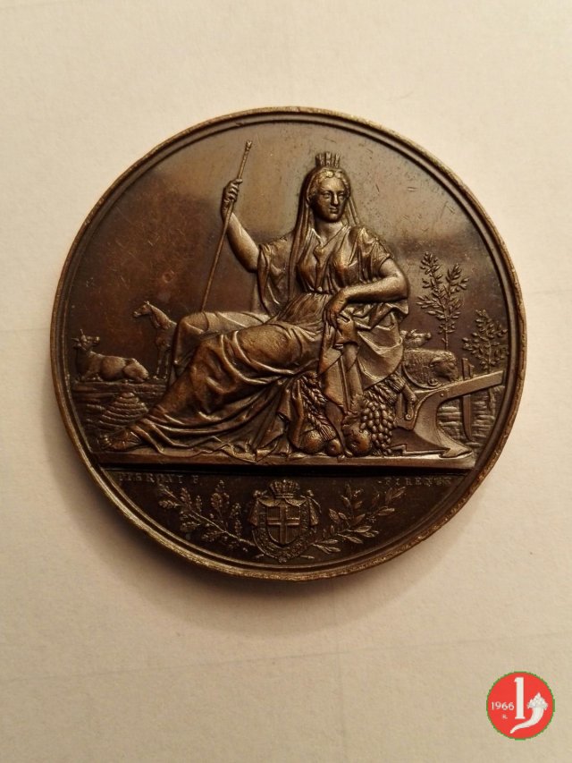 Concorso Agrario Veneto Verona 1889 1889