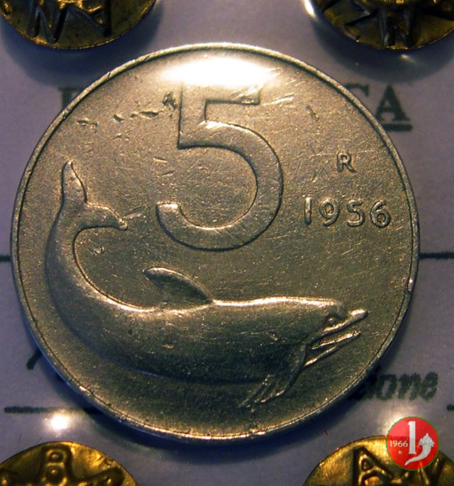 5 lire delfino 1956 (Roma)