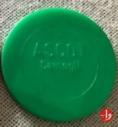 ASCOT 1970-1980 ASCOT 1970-1980