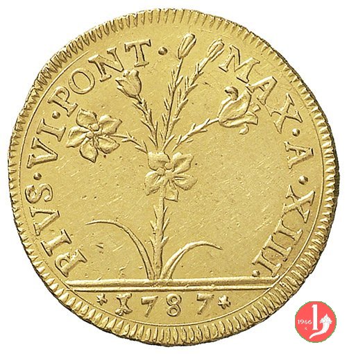 2 doppie romane 1787 (Bologna) 2 doppie romane 1787 (Bologna)