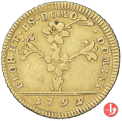 Doppia Romana o 30 Paoli 1792 (Roma) Doppia Romana o 30 Paoli 1792 (Roma)